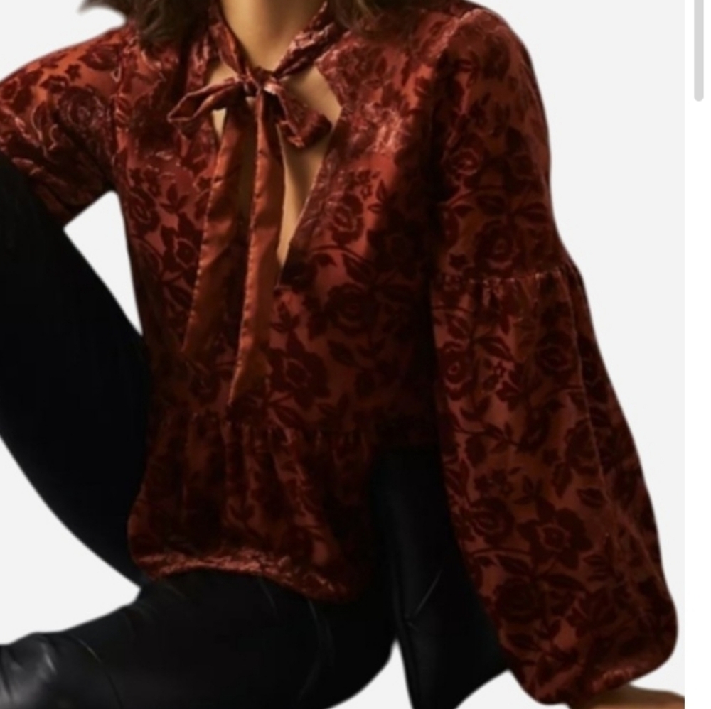 Anthropologie Burnout Velvet Floral V-Neck Blouse XS Balloon Long Sleeve Boho